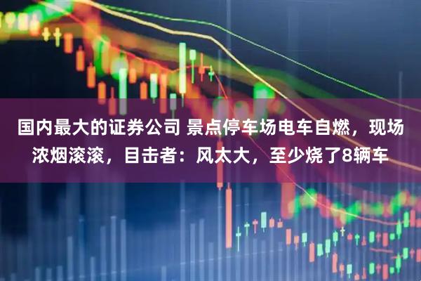 国内最大的证券公司 景点停车场电车自燃，现场浓烟滚滚，目击者：风太大，至少烧了8辆车