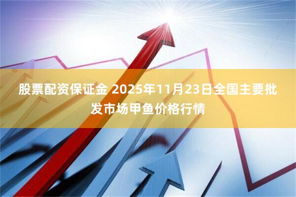 股票配资保证金 2025年11月23日全国主要批发市场甲鱼价格行情